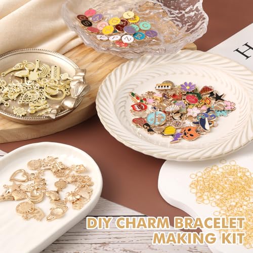 Zplontya Gold Charm Bracelet Making Kit - 545 Pcs Jewelry Making Supplies with 20Pcs Bracelet Chains, Storage Box & Gift Bags, DIY Bracelet Kit for Jewelry Making, Gold Charms for Crafting - color: Gold