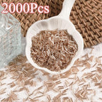 2000Pcs Tube Seed Beads 2x7mm Mini Long Glass Bugle Bead Small Craft Loose Spacer Beads for DIY Phone Charms Waist Bead Bracelets Earrings Necklaces (Champagne) - color: Champagne