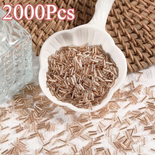 2000Pcs Tube Seed Beads 2x7mm Mini Long Glass Bugle Bead Small Craft Loose Spacer Beads for DIY Phone Charms Waist Bead Bracelets Earrings Necklaces (Champagne) - color: Champagne