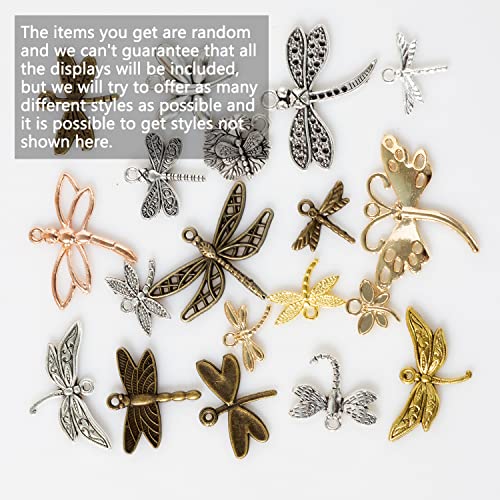 stino 100g Metal Pendant Charms for Jewelry Making, Bulk Silver & Gold Plated Charms for Braclet Necklace Crafts, Animal Plant Flower Pet and so on - color: Dragonfly Silver & Gold