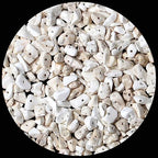LAIDANLA White Howlite 400pcs Natural Chip Stone Beads 5-8mm Healing Crystal Irregular Gemstones Drilled DIY Loose Rocks Bead Crystal for Bracelet Earrings Necklace Jewelry Making Crafting - color: ZC-White Howlite