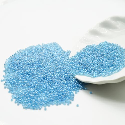 12/0 Tiny Glass Seed Beads Bulk, 2mm 4400 Pcs Craft Pony Beads for Jewelry Making, Friendship Bracelet, Hair Braiding, DIY Necklace Key Chain (Lake Blue) - color: Lake Blue, size: 2mm