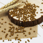 Matte Golden Seed Beads 200 Grams About 6500pcs, 3mm 8/0 Glass Craft Beads for Making Earrings, Bracelets, Pendants, Waist Jewelry,DIY Handmade Seed Beads (Matte Golden) - color: Matte Golden, size: 3mm