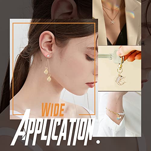 SUNNYCLUE 1 Box 10Pcs 5 Styles Shell Charms Starfish Charm Micro Pave Cubic Zirconia Pendant Brass Dolphin Ocean Pendants for Jewelry Making Charms Keychain Earring Necklace DIY Crafting Accessories - color: Micro Pave Cubic Zirconia Charms