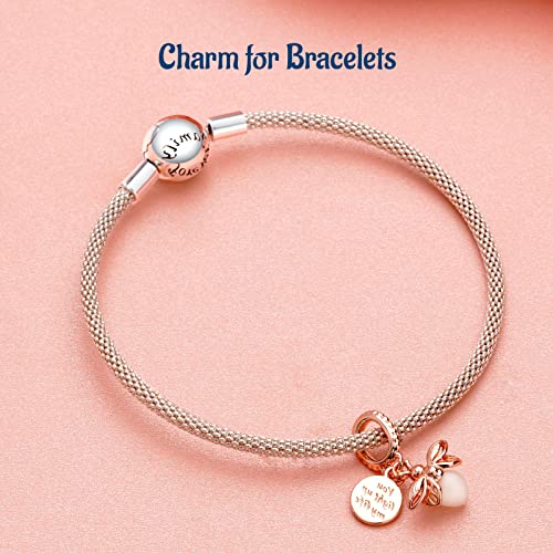 Mothers Day Birthday Number Love Family Friendship Graduation Auntie Grandma Dad Mom Charms for Pandora Bracelets Necklaces, Gifts Women, for Anniversary Valentines Christmas - style: You light uo my life Firefly 14K Rose Gold Plated