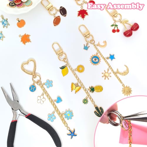 526Pcs Charms Lip Gloss Keychain Making Kit, DIY Keychain Supplies with 200 Charms, 28 Clasps, Jump Rings, Chain, Jewelry Plier, Hole Punch, Bag Charm Kit, Jewelry Making Kit for Crafting Keychains - color: Gold-526Pcs Kit