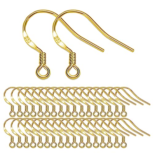 Gold Earring Hooks 80 PCS/40 Pairs, Ear Wires Fish Hooks, 240pcs Hypo-allergenic Jewelry Findings Parts with Jump Rings and Clear Silicone Earring Backs Stoppers for DIY Jewelry Making (14K Gold) - color: Small 14K Gold