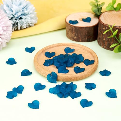 100Pcs Frosted Acrylic Leaf Charms Teal Transparent Plant Pendants Clear Autumn Leaves Beads Summer Charms for Jewelry Making - color: Teal #2