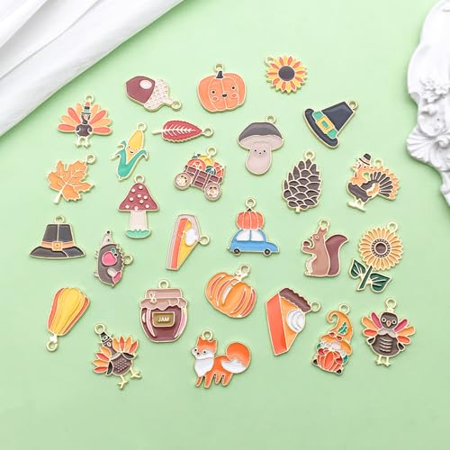 Sailanzi 27pcs Alloy Enamel Thanksgiving Series Turkey Pumpkin Mushroom Leaves Pendant Jewelry Making DIY Keychain Earrings Pendant Various Design Charms for Jewelry Making Bracelets Necklace (SN821) - color: SN821