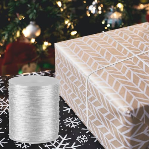 White Nylon String Cord - 1 MM 100 Yards Braided Ornament String, Nylon Twine Thread for Bracelet Making, Necklace Jewelry Thread Clay Bead Cord for Crafts Bracelets, Macrame Beading - style: White