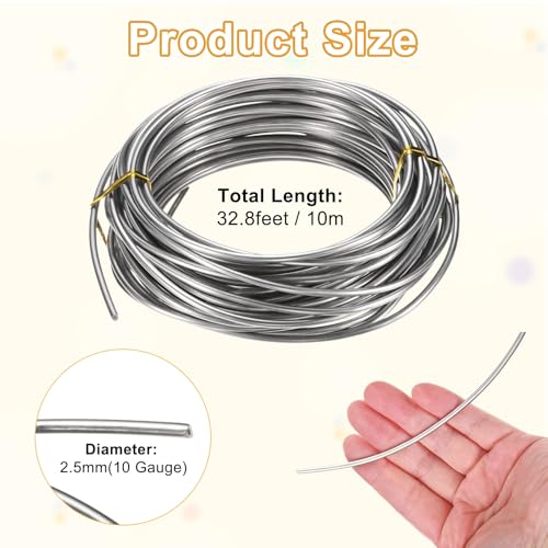M METERXITY 10 Gauge Stainless Steel Craft Wire, 2.5mm 32.8 ft Bendable Floral Snare Wire for Jewelry Making/Sculpting/Armature Crafting/Floral Bonsai/DIY Crafts - size: 10 Gauge x 32.8 ft