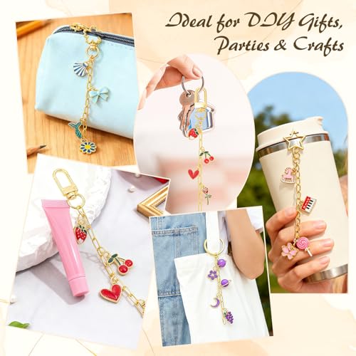 Ecoofor 50 Set Keychain Making Kit, 5 Style Metal Keychain Clips with Swivel Snap Hooks, Lobster Clasps, Key Rings & Extender Chains for DIY Crafts, Jewelry, Bags, Keychains & Gift Accessories - color: 50 Set Keychain Making Kit