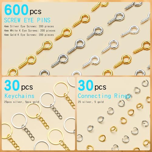 SONGIN Pin Vise Hand Drill Set, 670 Pcs Steel Manual Hand Drill Kit with 10 Pcs Drill Bits, Small Screw Eye Hooks, Keychain Rings for Jewelry Keychain Making and Crafts