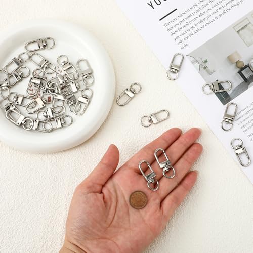 JJUNW 30 Pcs Metal Lobster Claw Clasp, Swivel Snap Key Chain Clip Hooks, Keychain Hooks for Keychain Making DIY Crafts Lanyard Making Pet Collar(Silver) - color: Silver