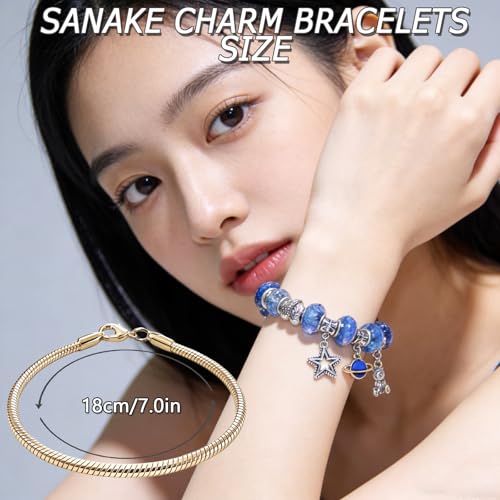 Exway 10 Pcs Snake Charm Bracelet Chain 7.0 Inch Gold Charm Bracelet Kit Snake Chain Bracelets Chain for Christmas DIY Women Jewelry Making Gifts - color: gold style A, size: 7.0in