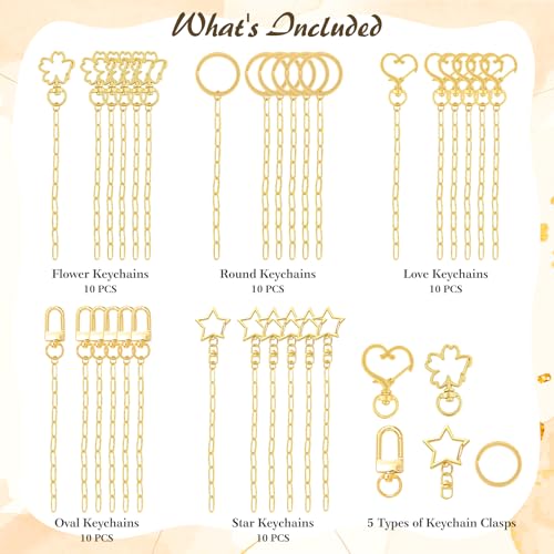 Ecoofor 50 Set Keychain Making Kit, 5 Style Metal Keychain Clips with Swivel Snap Hooks, Lobster Clasps, Key Rings & Extender Chains for DIY Crafts, Jewelry, Bags, Keychains & Gift Accessories - color: 50 Set Keychain Making Kit