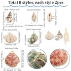 SUNNYCLUE 1 Box 16Pcs 8 Styles Natural Shell Charms Bulk Seashell Charm Summer Ocean Beach Conch Cowrie Scallops Beads Shells Marine Sea Charms for Jewelry Making Charm Earrings Necklaces DIY Crafts - color: 1 Box 16Pcs 8 Styles Shell Charms