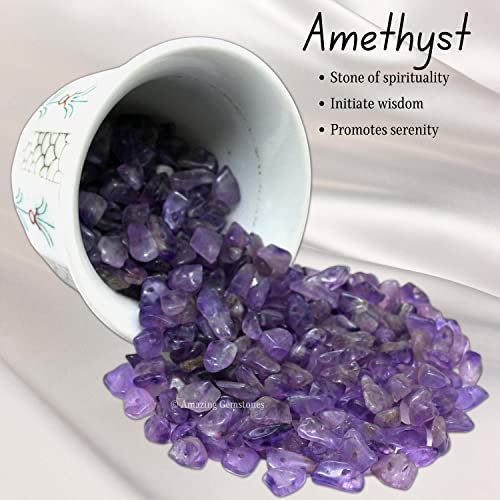 Amethyst Pre Drilled Natural Crystals Crushed Chips Beads for Jewelry Making, DIY Handmade Healing Crystals (25 Inch Strand) - color: Amethyst