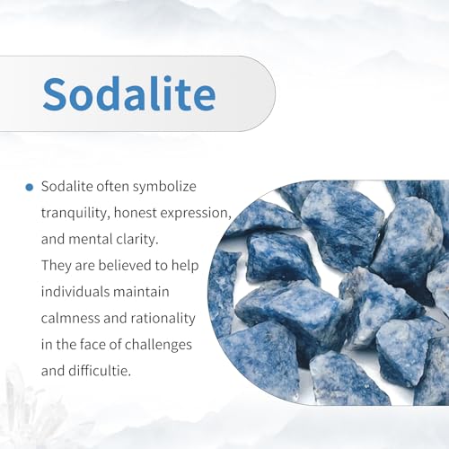 TUMBEELLUWA Natural Gemstone Beads for Jewelry Making, Rondelle Large Hole Loose Beads Pack of 15,Sodalite(8x14 mm) - color: Blue & White