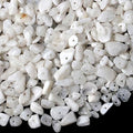 LAIDANLA Moonstone 400pcs Natural Chip Stone Beads 5-8mm Healing Crystal Irregular Gemstones Drilled DIY Loose Rocks Bead Crystal for Bracelet Earrings Necklace Jewelry Making Crafting - color: Q-Moonstone