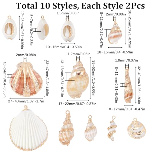 SUNNYCLUE 1 Box 20Pcs 10 Styles Sea Shell Charms Bulk Seashell Charms Natural Cowrie Conch Seashells Ocean Sea Shells Beach Charm for Jewelry Making Charms Women DIY Necklaces Earrings Bracelets - color: 1 Box 20Pcs 10 Styles Sea Shell Charms