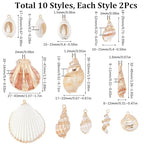 SUNNYCLUE 1 Box 20Pcs 10 Styles Sea Shell Charms Bulk Seashell Charms Natural Cowrie Conch Seashells Ocean Sea Shells Beach Charm for Jewelry Making Charms Women DIY Necklaces Earrings Bracelets - color: 1 Box 20Pcs 10 Styles Sea Shell Charms