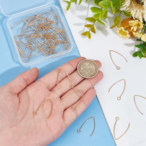 UNICRAFTALE About 50pcs Golden V-Shape Stainless Steel Earring Hooks Metal Ear Wires Drop Earring Hook with Horizontal Loop for Jewelry Making DIY Earrings Findings 25.5x15x0.8mm - size: 26mm Long