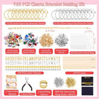 Wurosi 769 Pieces Paperclip Charm Bracelet Kit, Including Paperclip Chain Bracelets, Charms, Jump Rings, Gift Bags, Pliers for DIY Bracelet Making Gift Christmas - color: 769 Pcs Gold & Silver Bracelet