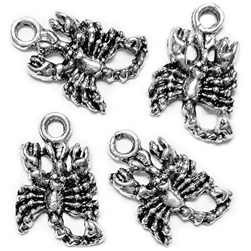 Heather's cf Silver Sea Charms – Antique Pendants, Non-Tarnish, Lead-Free & Nickel-Free, Bulk Ocean Animal Charms for DIY Jewelry, Bracelets, Necklaces, Earrings, Beach Craft Supplies (Sea Animals) - color: Scorpion-120pcs