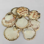 20pcs Natural Shell Pendants Charms Necklace Trendy Pendant For Making DIY Accessories Necklaces Earings