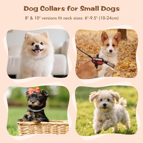 10 Inch Silver Cuban Link Dog Collar - Bling Diamond Dog Chain Collars, Non-Adjustable Small Dog Collar with Secure Buckle (Perfect for Chihuahuas, French Bulldogs) - size: 10 inch