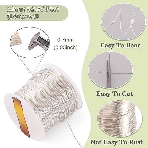 Pandahall 42.6 Feet Tarnish Resistant Copper Wire 21 Gauge Wire JewelryWire Beading Craft Wire for Jewelry Making (Silver)