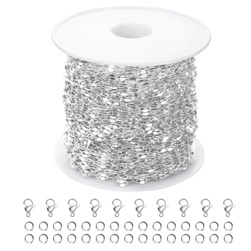 Kyutong Silver Necklace Chain for Jewelry Making Stainless Steel Cable Link Chain Bulk Thin Jewelry Making Supplies Chains with Lobster Clasps Jump Ring for Craft DIY Necklace Ankle Making - color: Silver Lip
