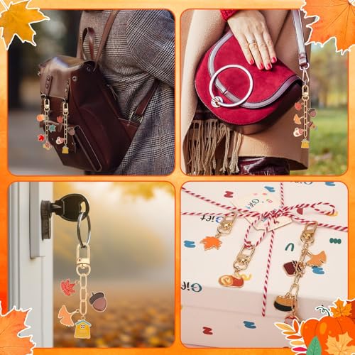 AUGSUN 189Pcs Fall Keychain Making Kit, Autumn Charm Jewelry Chain Making Crafts, 60 Thanksgiving Charms 12 Keychain Clips Hooks 15 Extender Chains 100 Jump Ring and Jewelry Plier for Holiday Gifts - style: Fall