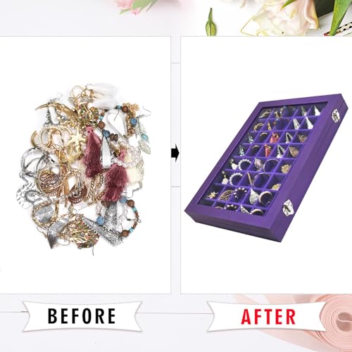 Siveit Jewelry Tray Organizer Box 48 Grid Jewelry Display Organizer Box with Transparent Lid Rings Earrings Necklaces Pendants Display Box Suitable for Women and Girls (48 Grid, Purple) - color: Purple