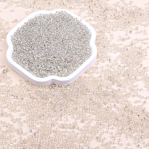 8/0 Glass Seed Beads Bulk, Clear Silver White 3mm Tiny Round Craft Seed Bead, Small Mini Pony Beads for Jewelry Making Bracelet Necklace Wrist Beading Weaving Supplies, 2500pcs - color: CLear Silver White