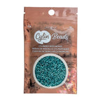 John Bead 25g Cylin Beads Tropic Teal Silver Lined 11/0 Glass Cylindrical Seed Beads for Jewelry Bracelets Necklaces Earrings Making Embroidery - color: Tropic Teal Silver Lined