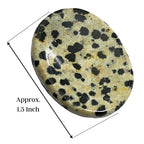 Amazing Gemstone Dalmatian Jasper Worry Stone, Healing Crystals - Piedra Crystal Fidget for Gift, Meditation, Calming, Relaxation, Stress Relief - color: Dalmatian Jasper