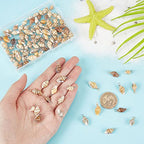 PH PandaHall Shell Pendants Spiral Seashells Craft Charms Cowrie Sea Shells Pendant Natural Shell Charms Conch Shells with Loop Bail - color: Golden/Silver, size: 0.7~0.9 inch