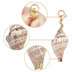SUNNYCLUE 10Pcs Seashell Charms Oval Ocean Beach Spiral Natural Cowrie Conch Shells Large Charm Pendants with Lobster Claw Clasps for Jewelry Making DIY Necklace Bracelet Earring Supplies Accessories - color: 10Pcs Lobster Clasps Seashell Charms