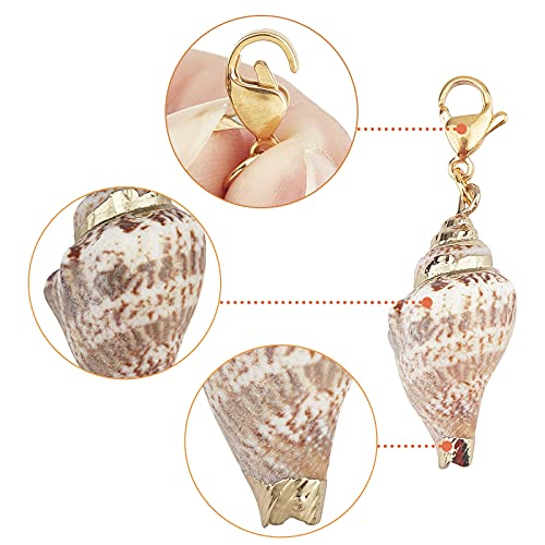SUNNYCLUE 10Pcs Seashell Charms Oval Ocean Beach Spiral Natural Cowrie Conch Shells Large Charm Pendants with Lobster Claw Clasps for Jewelry Making DIY Necklace Bracelet Earring Supplies Accessories - color: 10Pcs Lobster Clasps Seashell Charms