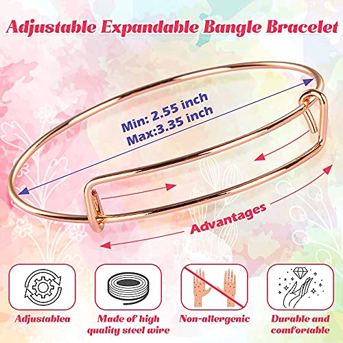 Sofier 542pcs Bangle Bracelet Making Kit DIY Jewelry Making Kit and Supplies Expandable Charm Bracelets Pendants Plier Set Toy Art Craft Gift for Girl Teen Women Adult - color: Multiple