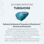Dainty Gold Necklace for Women,Trendy 18k Gold Vermeil Sterling Silver Choker Necklace Thin Beaded Choker Necklaces Womens Simple Jewelry Gift for Valentines Day - color: December - Turquoise