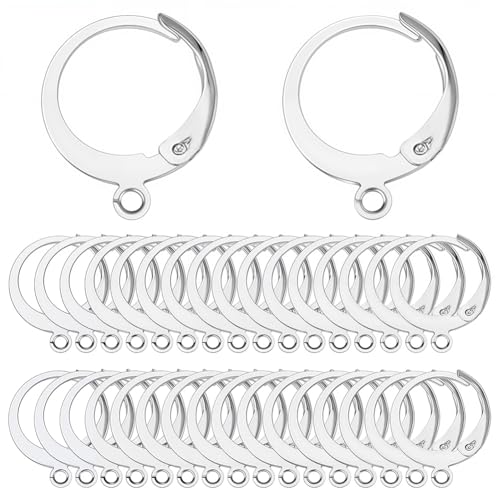 SUNNYCLUE 1 Box 80Pcs Huggie Hoop 15mm Round Leverback Earring Hooks Stainless Steel Lever Backs Hinged Huggie Hoops with Loops Earwires Leverbacks Ear Wires for Jewelry Making DIY Earrings Findings - color: 80pcs Stainless Steel Round Leverbacks