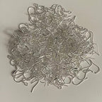 200 PCS/100 Pairs 925 Sterling Silver Plated Earring Hooks Hypoallergenic Silver Ear Wires Fish Hooks with 100 PCS Clear Silicone Earring Backs and 100 PCS Jump Rings for DIY Jewelry Making - color: Silver