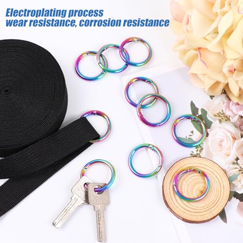 1 Inch Spring O Rings Buckles-10 Pcs Rinbow Spring Gate Rings Clasps for Purse Shoulder Bag-Round Spring Hooks Carabiner Snap Clips for Handbag Key Chains DIY Crafts - color: Rainbow Spring Rings-10pcs-1 Inch