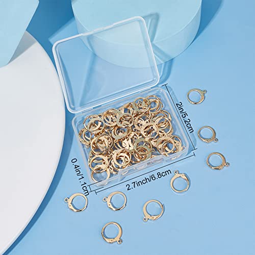 SUNNYCLUE 1 Box 80Pcs Leverback Earring Hooks Real 18K Gold Plated Stainless Steel Huggie Hoop Round Leverbacks Earwires Lever Back Hoops for Jewelry Making Earrings Backs Findings Replacement Adult - color: 80pcs Real 18k Gold Plated Stainless Steel Roun