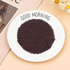 PH PandaHall 6000pcs 11/0 Glass Seed Beads 2mm Seed Beads Brown Round Waist Bead Mini Spacer Bead for DIY Earring Bracelet Necklace Jewelry Making Crafting - color: Brown-6000 Pcs