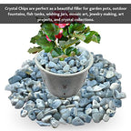 Blue Opal Pre Drilled Natural Crystals Crushed Chips Beads for Jewelry Making, DIY Handmade Healing Crystals (25 Inch Strand) - color: Blue Opal