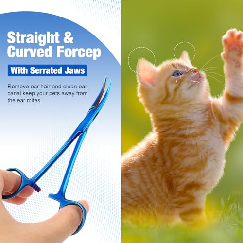 BBTO Hemostat Curved and Straight Hemostat Forceps Piercing Pliers Forceps, Stainless Steel Straight and Curved Pliers, Fishing Tweezer(Blue,2 Pcs) - color: Blue